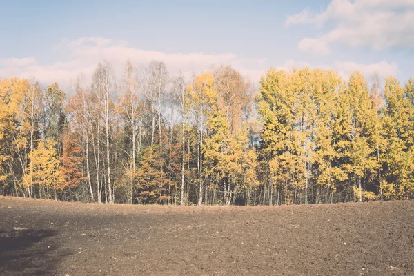 秋天的彩色的农村景观-复古复古 — 图库照片