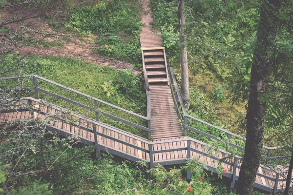 Sendero turístico escénico y hermoso en el bosque cerca del río - re — Foto de Stock