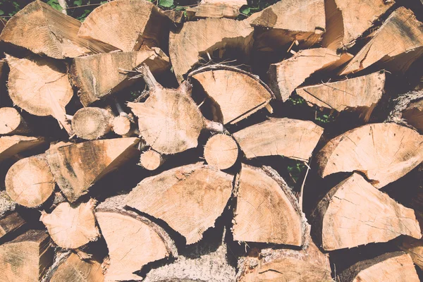 Leña apilada de abeto en el bosque - retro, vendimia — Foto de Stock