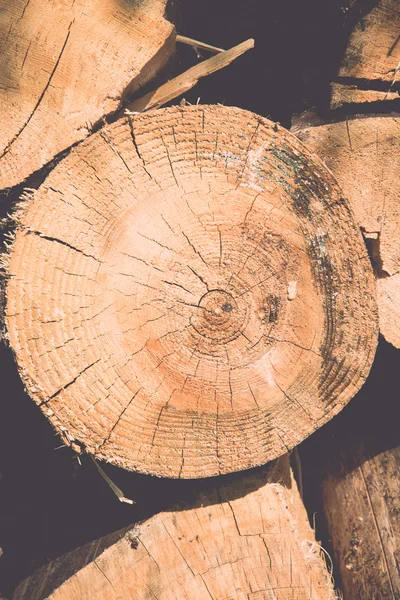 Leña apilada de abeto en el bosque - retro, vendimia — Foto de Stock