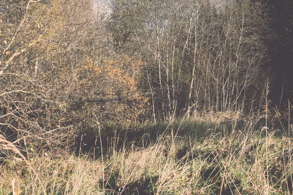 Paysage rural coloré automne - rétro, vintage — Photo