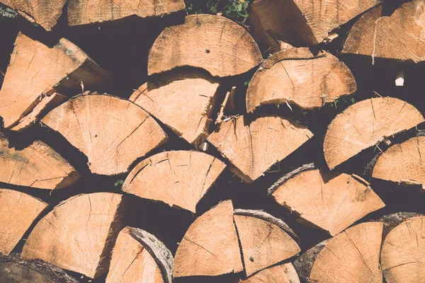 Leña apilada de abeto en el bosque - retro, vendimia — Foto de Stock