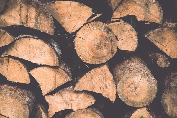 Gestapeltes Brennholz aus Fichten im Wald - Retro, Jahrgang — Stockfoto