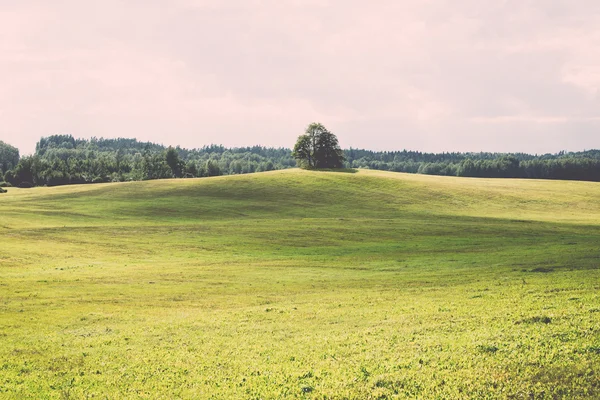 Lonely Drzewo daleko w polu żółtym - retro, vintage — Zdjęcie stockowe