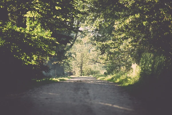 Strada di campagna illuminata dal sole della sera - retrò, vintage — Foto Stock