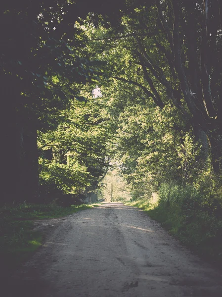 Country road alley lit by evening sun - retro, vintage — Stock Photo, Image