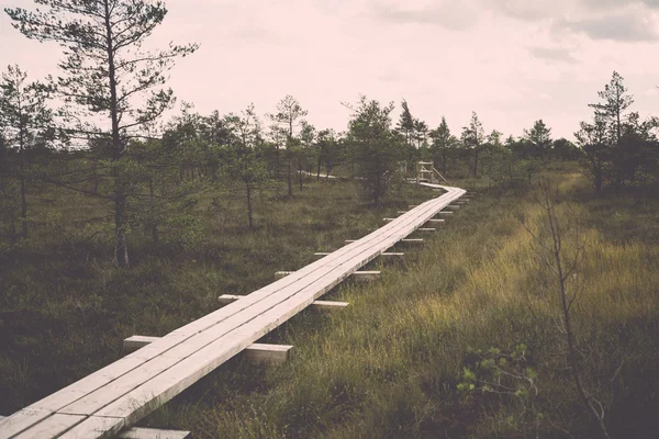 Swamp weergave met meren en voetpad - retro, vintage — Stockfoto