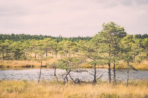 Träsk med sjöar och vandringsled - retro, vintage — Stockfoto