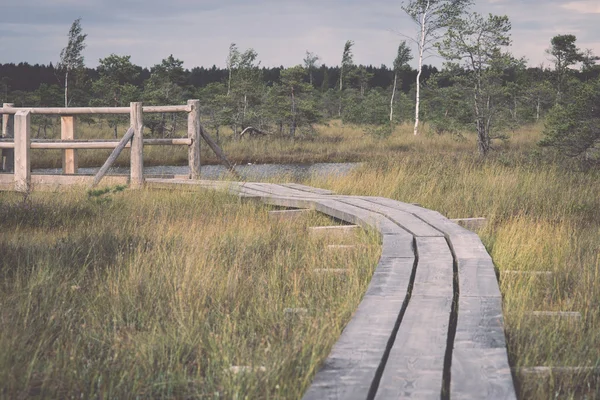 Pemandangan rawa dengan danau dan tapak - retro, vintage — Stok Foto