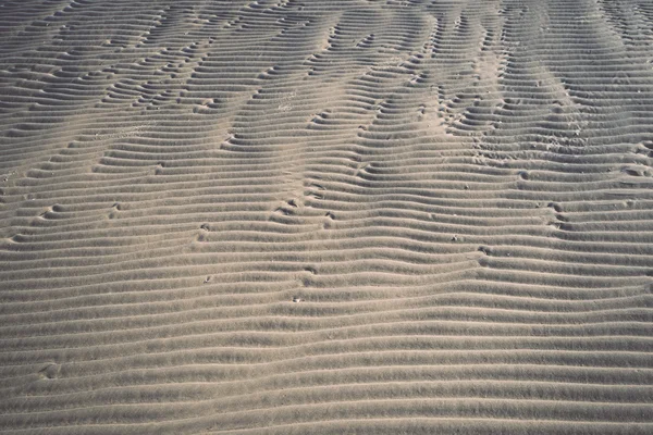 Una textura de fondo de oro natural sin refinar, húmedo y granulado — Foto de Stock