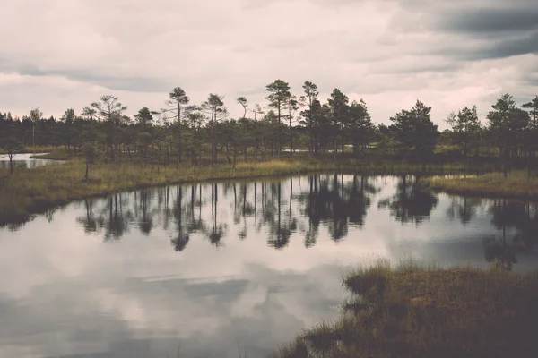 Pemandangan rawa dengan danau dan tapak - retro, vintage — Stok Foto