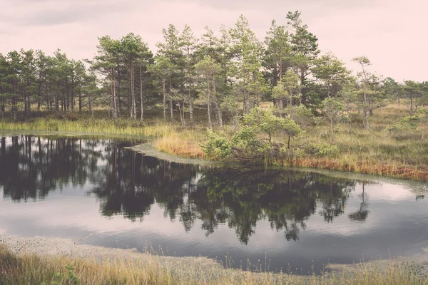 Vue sur les marais avec lacs et sentiers - rétro, vintage — Photo