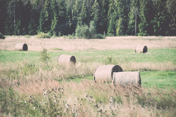 卷的干草在绿色的原野-复古复古 — 图库照片