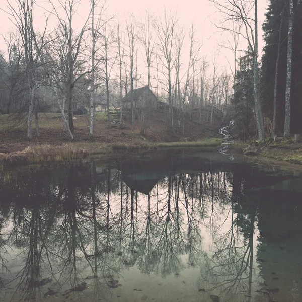 Mañana clara junto a un pequeño lago con reflejos - retro, vintage —  Fotos de Stock