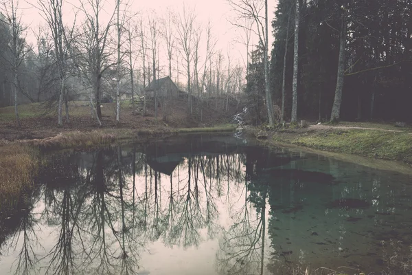 Mañana clara junto a un pequeño lago con reflejos - retro, vintage —  Fotos de Stock