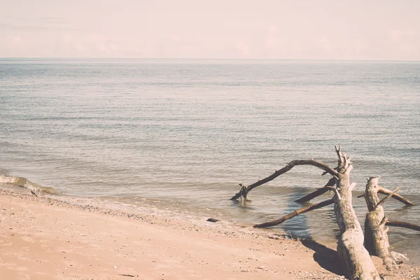 Horizon de la plage avec vieux troncs d'arbres dans l'eau - rétro, vintage — Photo