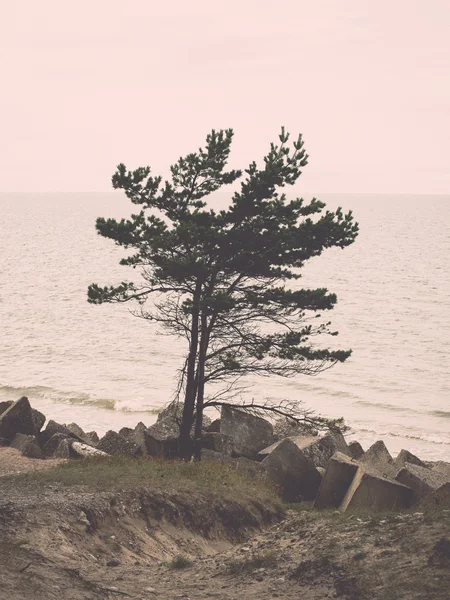 Skalnatá pláž v Baltském moři - retro a vintage — Stock fotografie