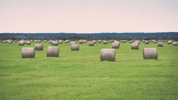 Rullar av hö i grönt fält - retro, vintage — Stockfoto
