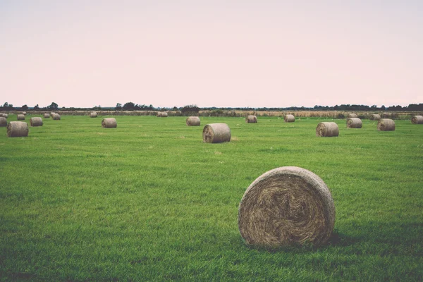 Rullar av hö i grönt fält - retro, vintage — Stockfoto