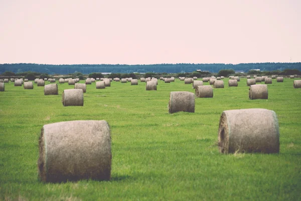 Rollos de heno en el campo verde - retro, vintage —  Fotos de Stock