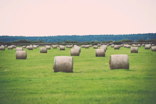 Rolls of hay in green field - retro, vintage — Stock Photo, Image