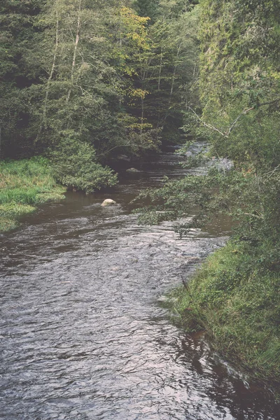 Vue sur la rivière de montagne avec le courant d'eau et le sable — Photo