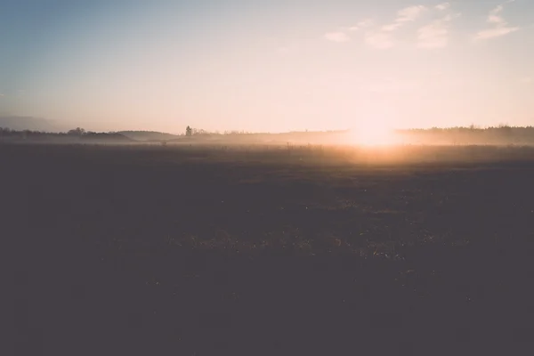 Schöne neblige Wiese im Morgenfrost - Retro, Jahrgang — Stockfoto