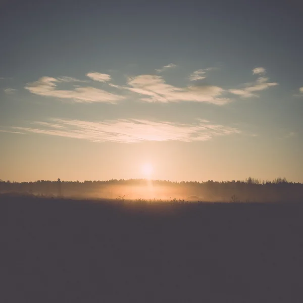 美しい朝の霧の草原フロスト - レトロ、ヴィンテージ — ストック写真