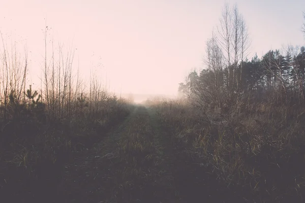 Beautiful misty meadow in the morning frost - retro, vintage — Stock Photo, Image