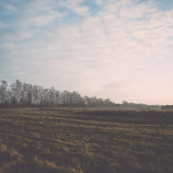 Schöne neblige Wiese im Morgenfrost - Retro, Jahrgang — Stockfoto