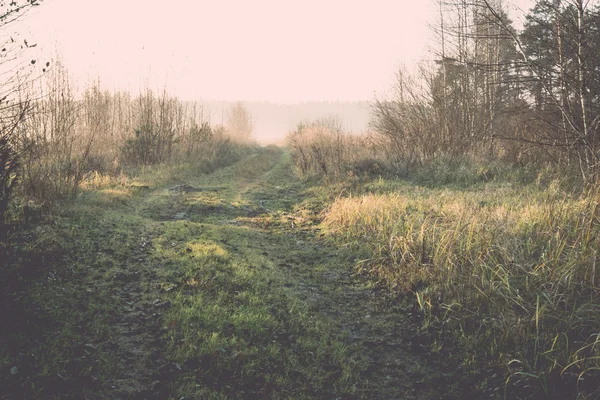 Mooie mistige weide in de ochtend vorst - retro, vintage — Stockfoto