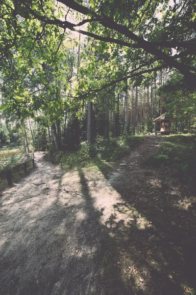 Sendero turístico escénico y hermoso en el bosque cerca del río - re —  Fotos de Stock