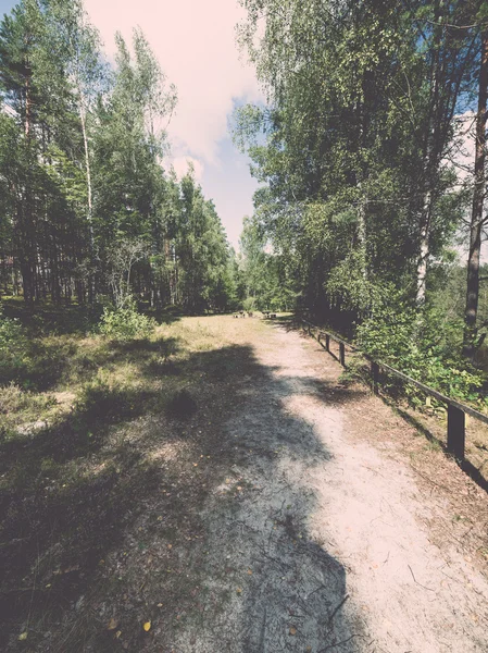 Sendero turístico escénico y hermoso en el bosque cerca del río - re —  Fotos de Stock