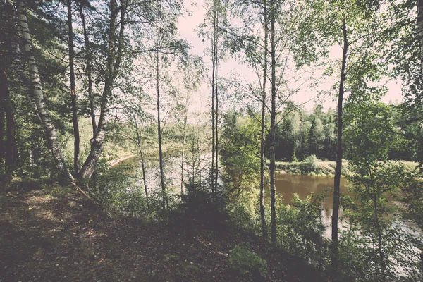 Sendero turístico escénico y hermoso en el bosque cerca del río - re — Foto de Stock