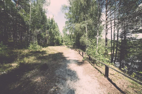 Malebná a krásná turistika stezka v lese poblíž řeky - re — Stock fotografie