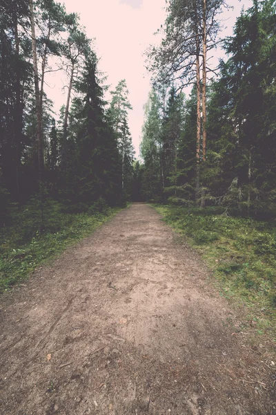 Scenic and beautiful tourism trail in the woods near river  - re — Stock Photo, Image