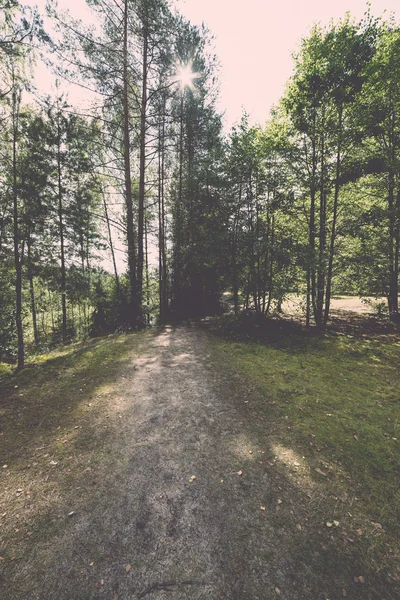 Sentier touristique pittoresque et magnifique dans les bois près de la rivière re — Photo