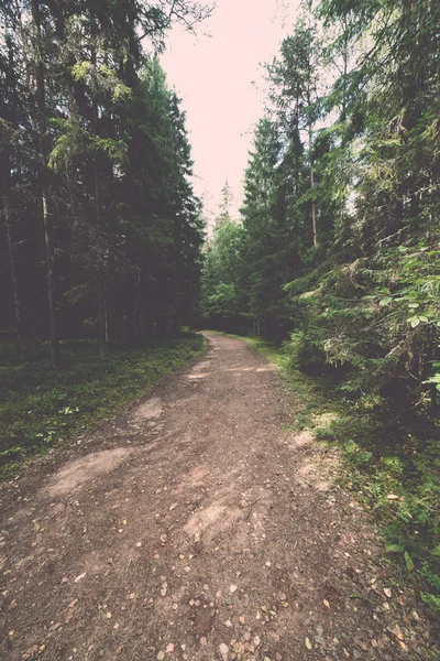 Scenic and beautiful tourism trail in the woods near river  - re — Stock Photo, Image