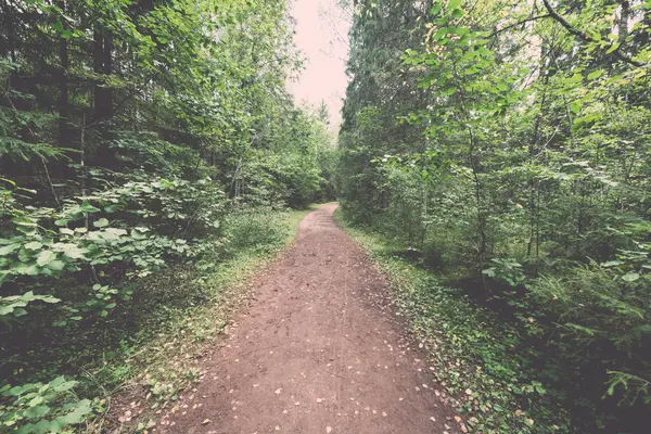 Sendero turístico escénico y hermoso en el bosque cerca del río - re —  Fotos de Stock