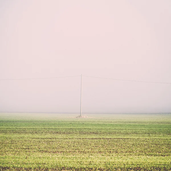 Prachtige groene weide in zware mist - retro, vintage — Stockfoto