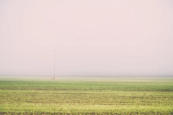 Beautiful green meadow in heavy mist - retro, vintage — Stock Photo, Image