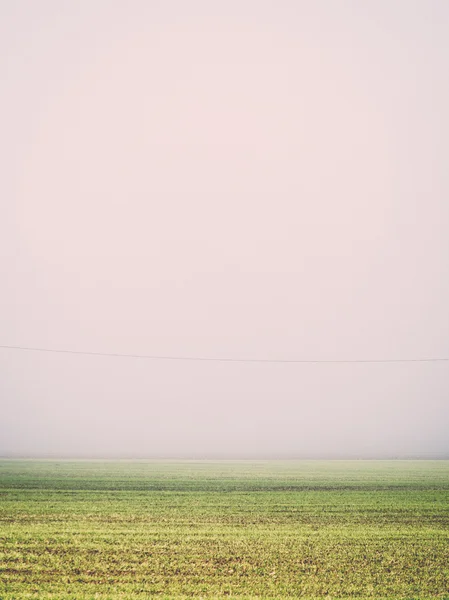 Beautiful green meadow in heavy mist - retro, vintage — Stock Photo, Image