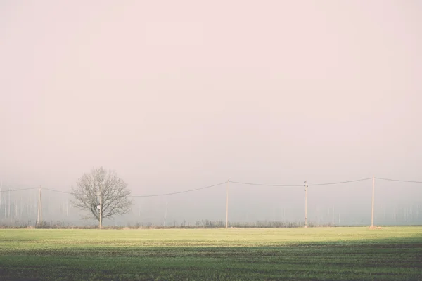 Belo prado verde em névoa pesada - retro, vintage — Fotografia de Stock