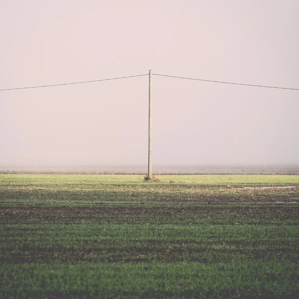 Belo prado verde em névoa pesada - retro, vintage — Fotografia de Stock