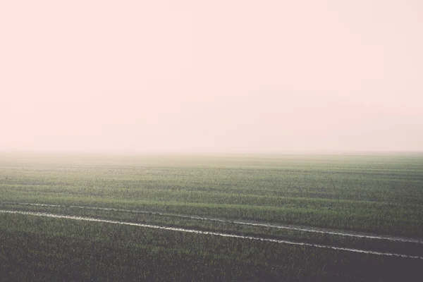 Schöne grüne Wiese im dichten Nebel - Retro, Vintage — Stockfoto