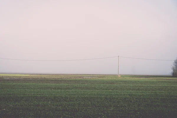 Beautiful green meadow in heavy mist - retro, vintage — Stock Photo, Image