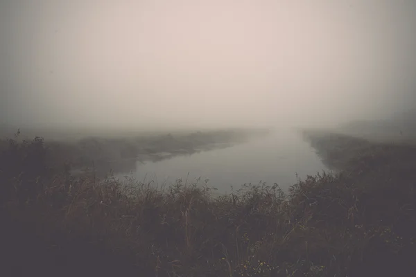 Vue sur les marais avec lacs et sentiers - rétro, vintage — Photo