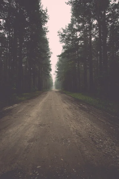 Misty country road in the early morning - retro, vintage — Stock Photo, Image