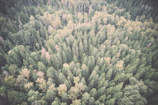 forests from above - retro, vintage