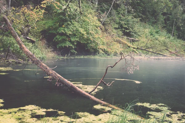 Vecchia riva del fiume con riflessi in acqua retrò, vintage — Foto Stock